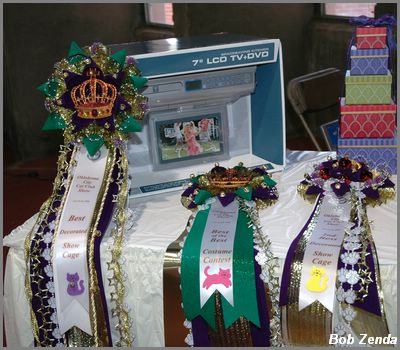 Gorgeous Rosettes & Prizes